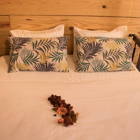 Hostal Erasmus By Gaiarooms Salamanca Kültér fotó